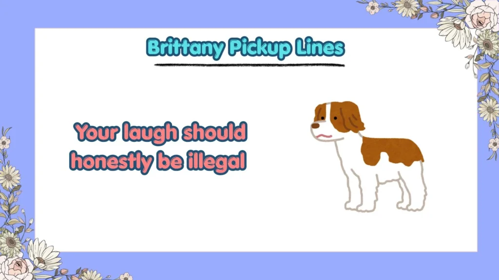 What Are the Best Brittany Pickup Lines for Flirting