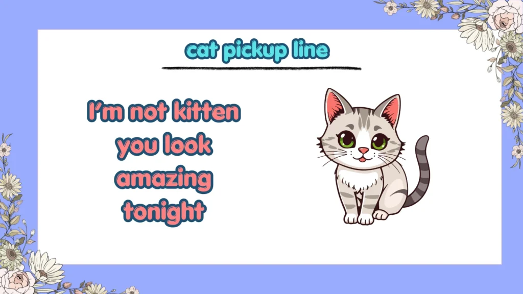 What are the funniest cat pickup lines