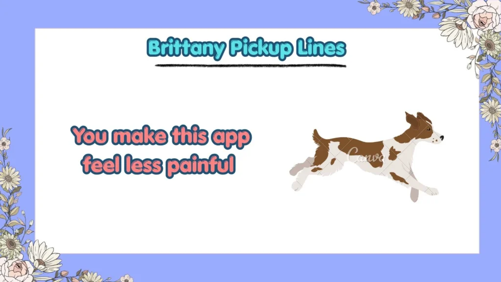 Are Funny Brittany Pickup Lines Good for Tinder