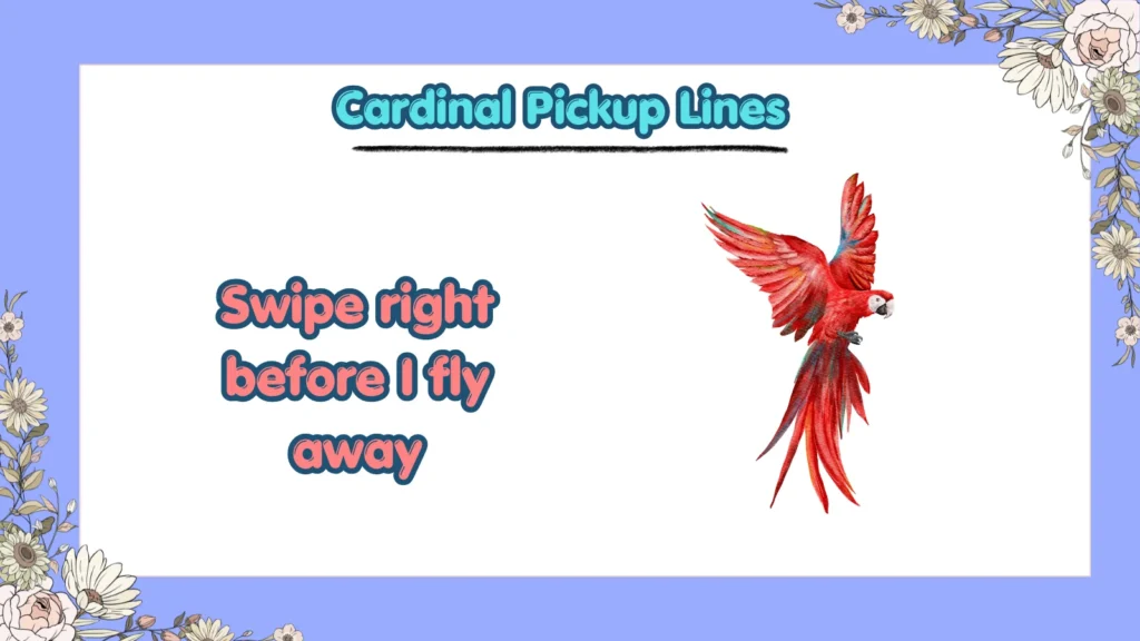 Are There Funny Cardinal Pickup Lines for Tinder