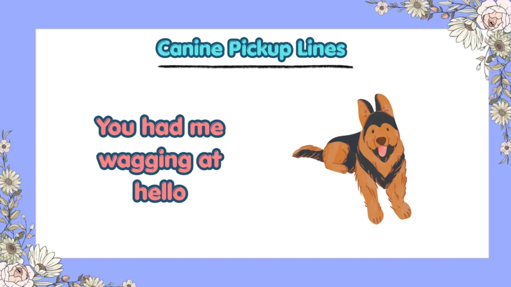 Funny Dog Pickup Lines for Tinder
