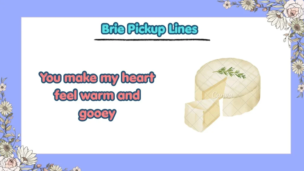 What Are Cute Brie Pickup Lines for a Crush