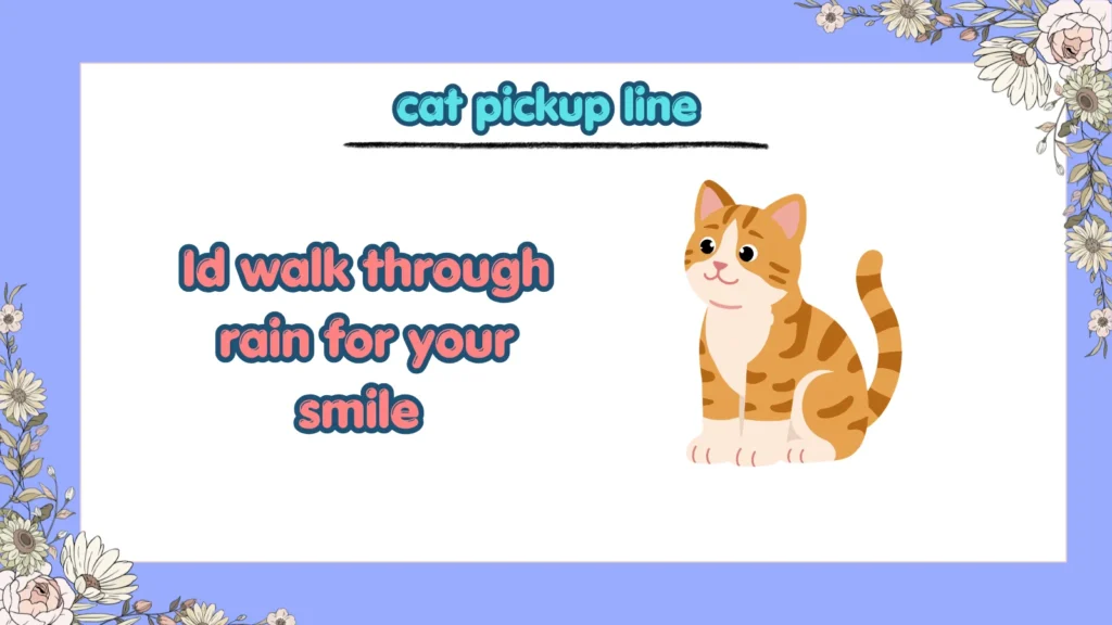 What are smooth cat rizz lines for texting