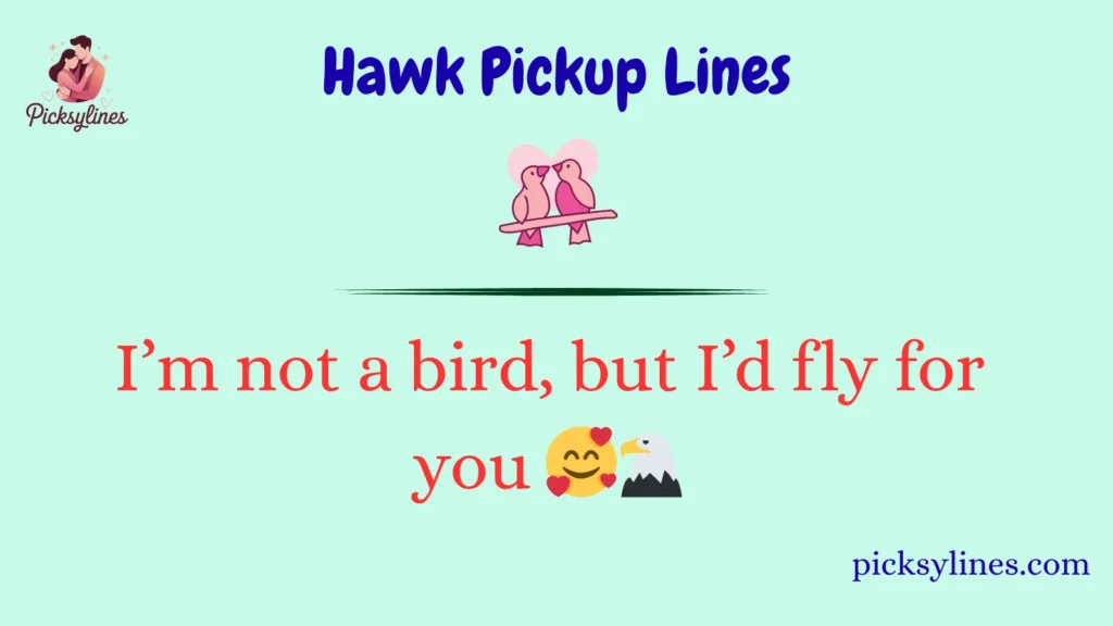 Hawk Pickup Lines