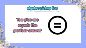 algebra pickup line