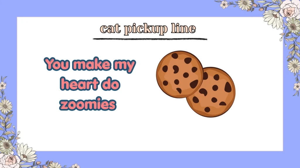 cat pickup line